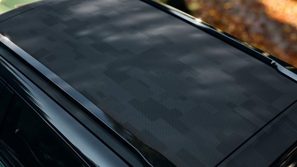 מבט מגבוה על הגג של רנו 4 Savane בצבע שחור בתבנית מפוקסלת