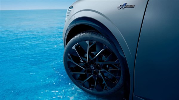 מבט מקרוב על הגלגל הקדמי עם חישוק בסגנון אלפין